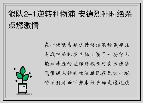 狼队2-1逆转利物浦 安德烈补时绝杀点燃激情
